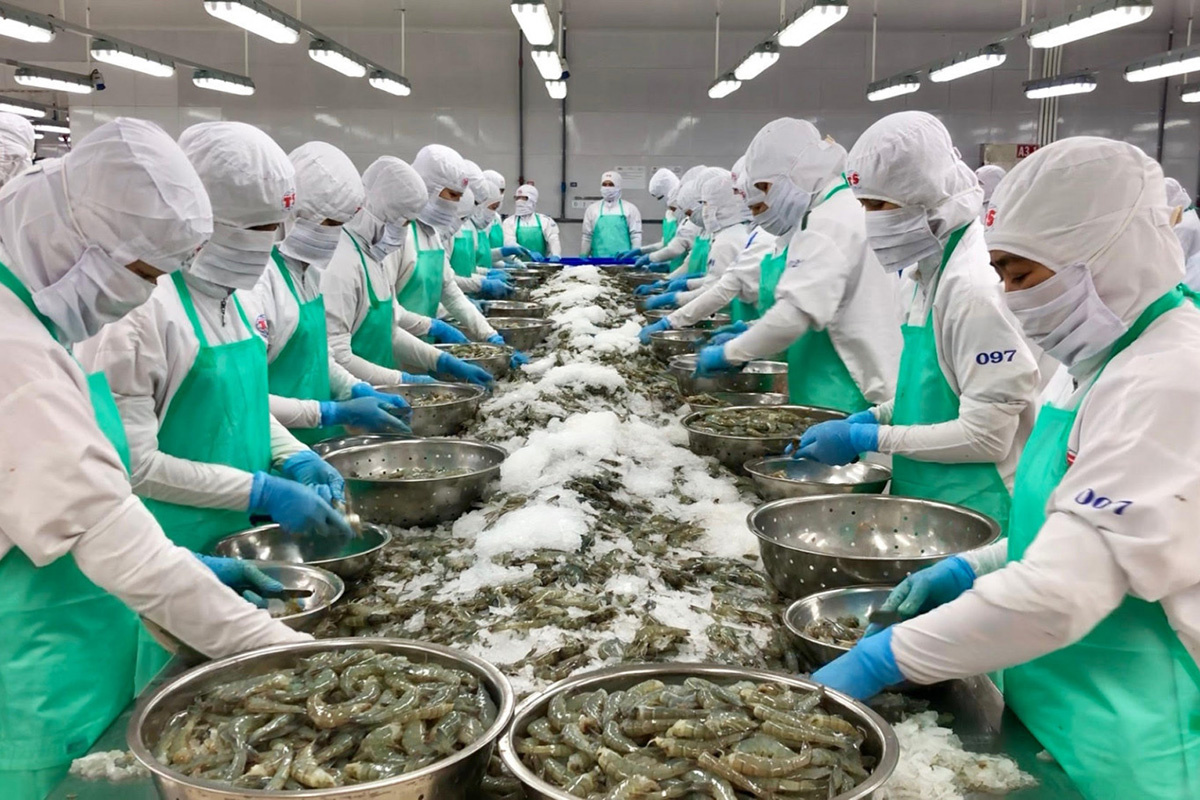 Chế biến xuất khẩu thủy hải sản Mekong Rich Agri Mekco