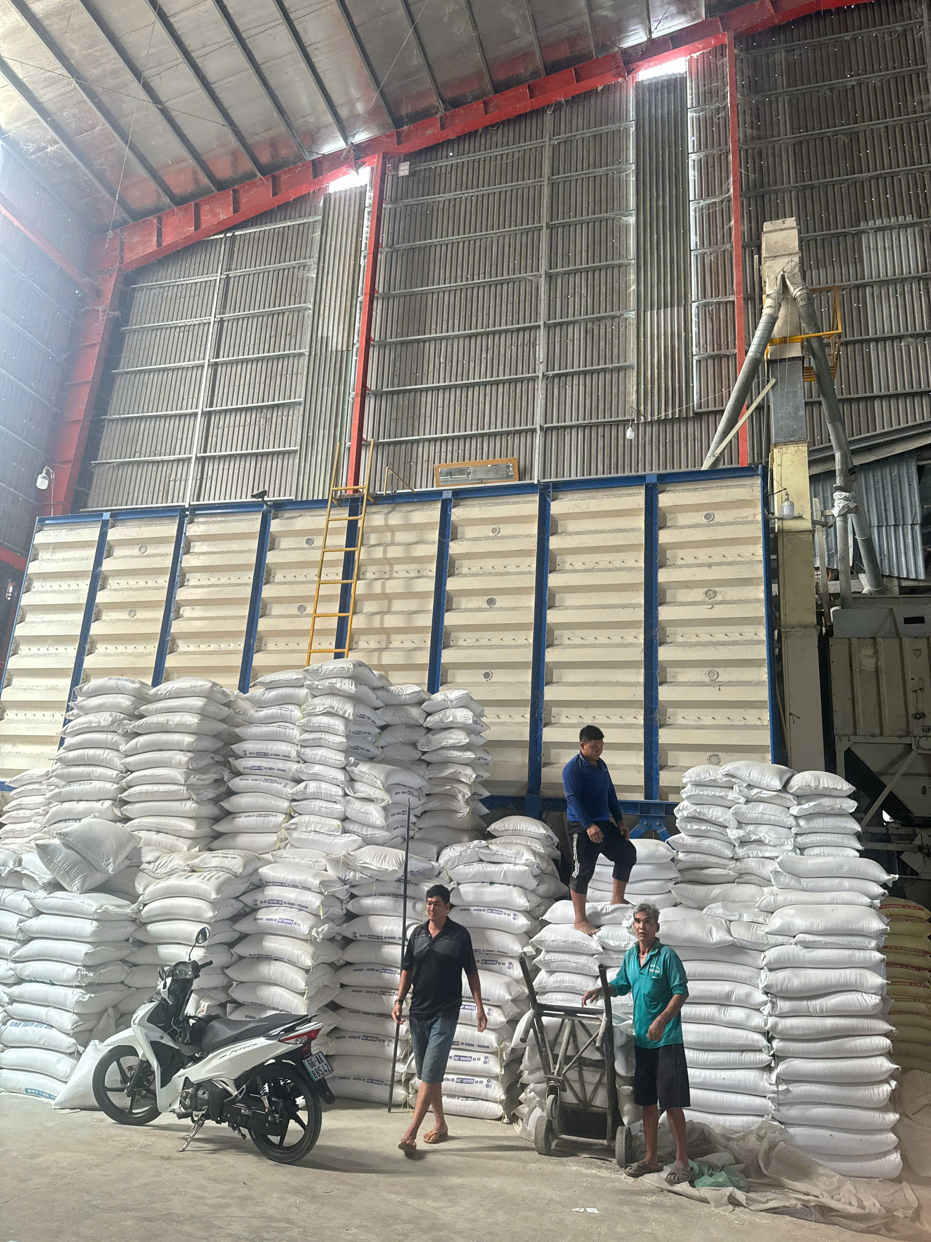 Thức ăn cho ếch trong mô hình nuôi thủy sản thương phẩm Mekco