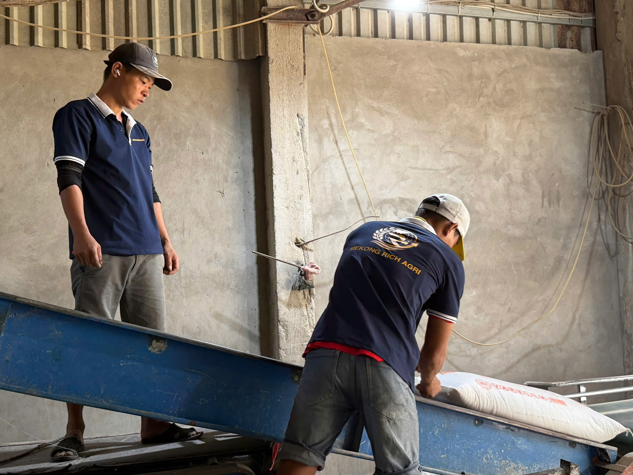 Hệ sinh thái nông nghiệp và thủy sản của Công ty Mekong Agri Mekco
