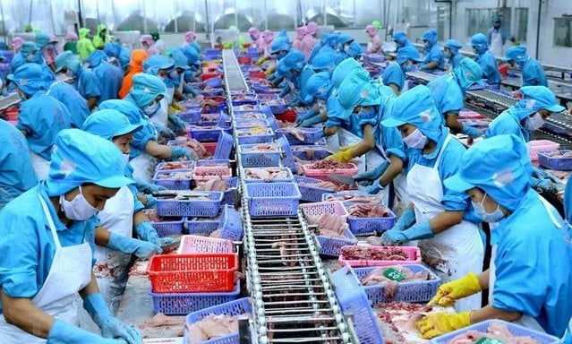 Chế biến xuất khẩu thủy hải sản tại Mekong Agri Mekco