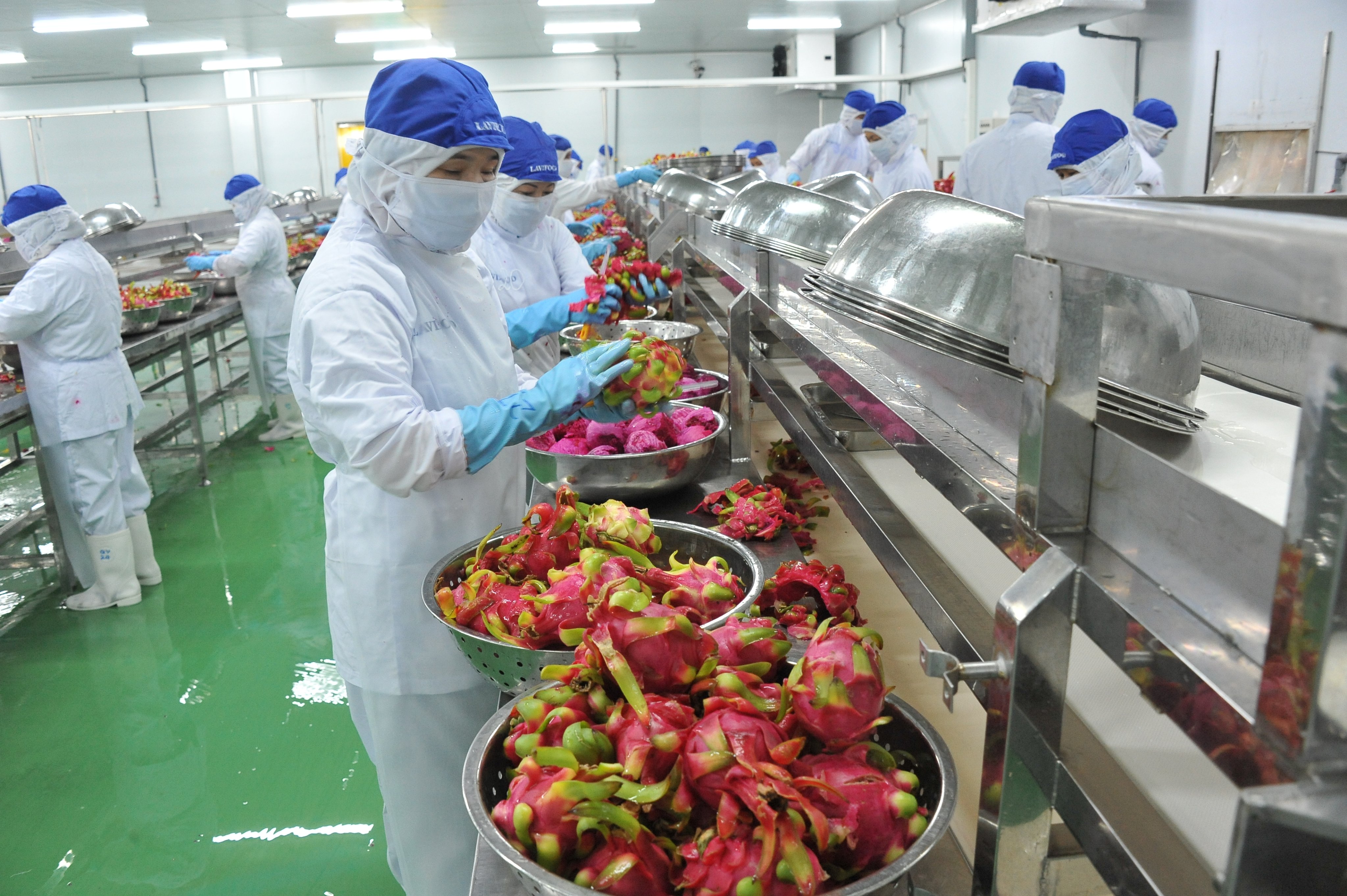 Kiểm tra chất lượng nông sản trái cây tươi phục vụ xuất khẩu Mekco